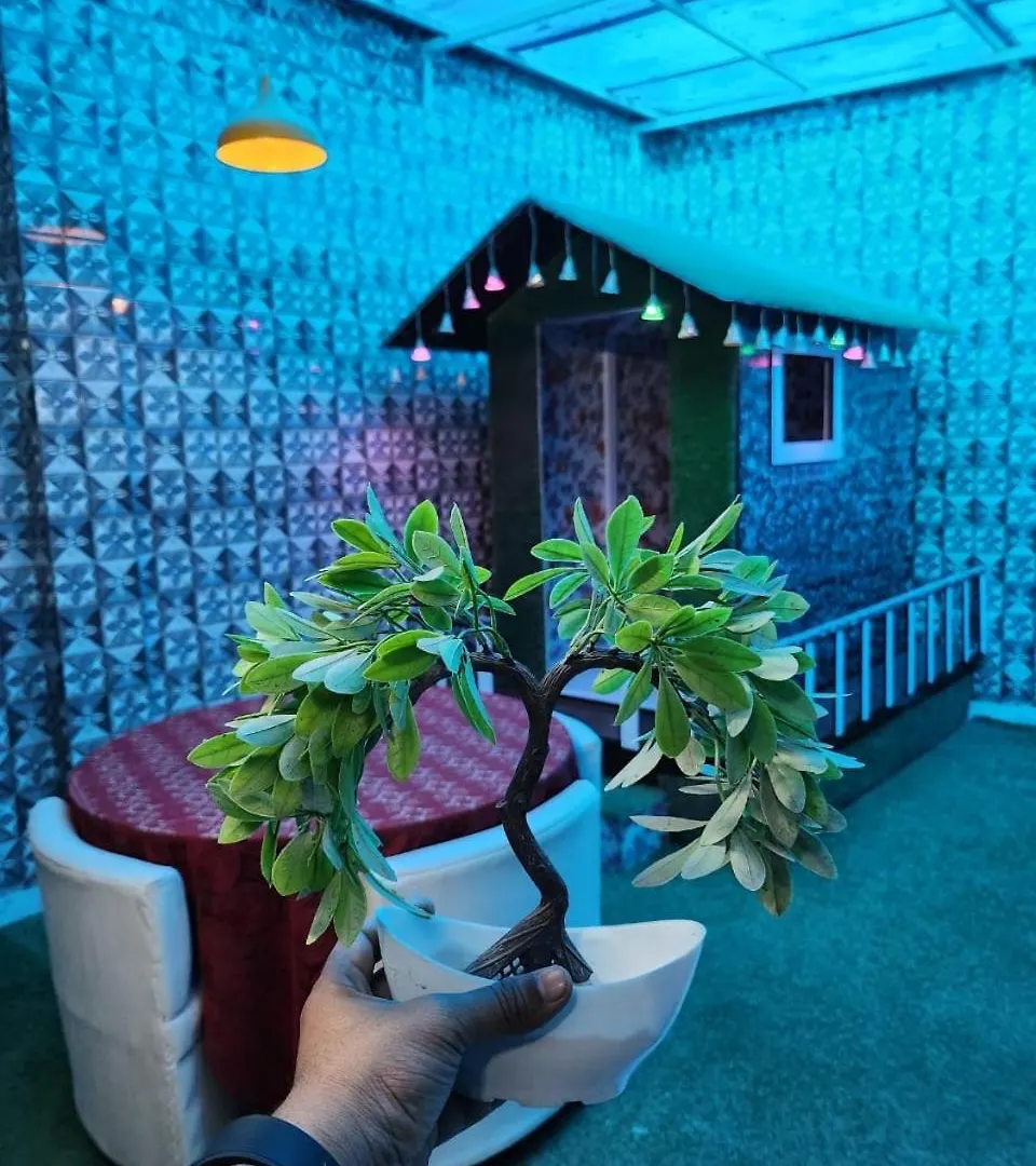 Dk'S Paradise Homestay Agra  0*, Agra (Uttar Pradesh)
